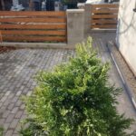 WhatsApp Image 2025-01-20 at 22.48.54 (1)